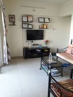 1 BHK, Residential Apartment in Spring field society at Ambegaon Budruk - image