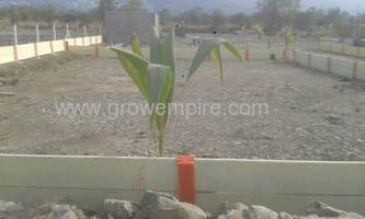 Residential Land in shama group at wakad - image