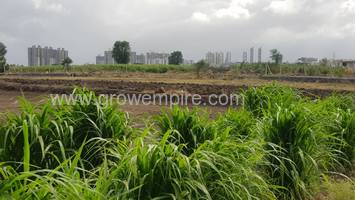 Residential Land in 24 REAL ASSET at Wakad - image