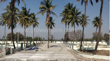 Residential Land in PRIDE 09 at Pune Solapur Highway - image