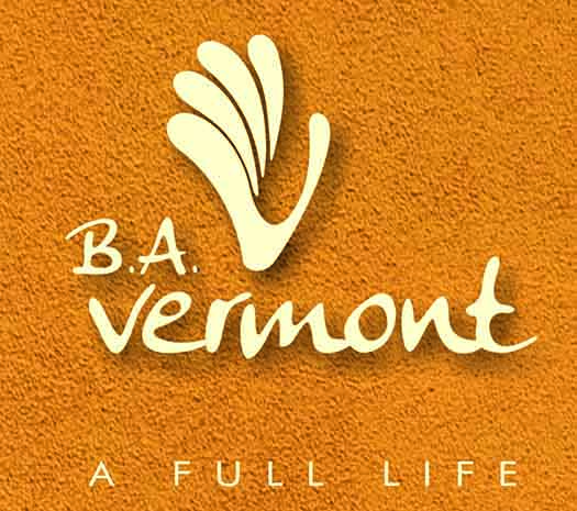 Vermont by Bhandari Associates at Wagholi