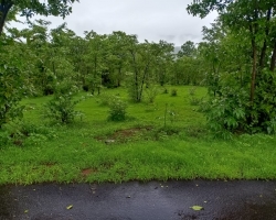 Agricultural/Farm Land in PDS Green Lands at Mahad - image