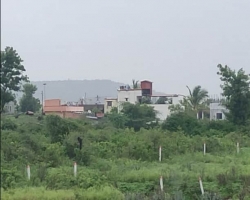 Agricultural/Farm Land in Shri Ganesh Society at Wagholi - image