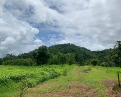 Non Agricultural/Farm Land in Bhairav Hills at Pali - image