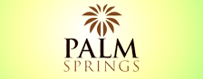Palm Springs  - Project Logo