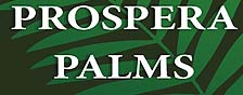 Prospera Palms - Project Logo