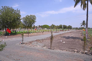 Residential Land in Janai Developers  at Uruli Kanchan - image