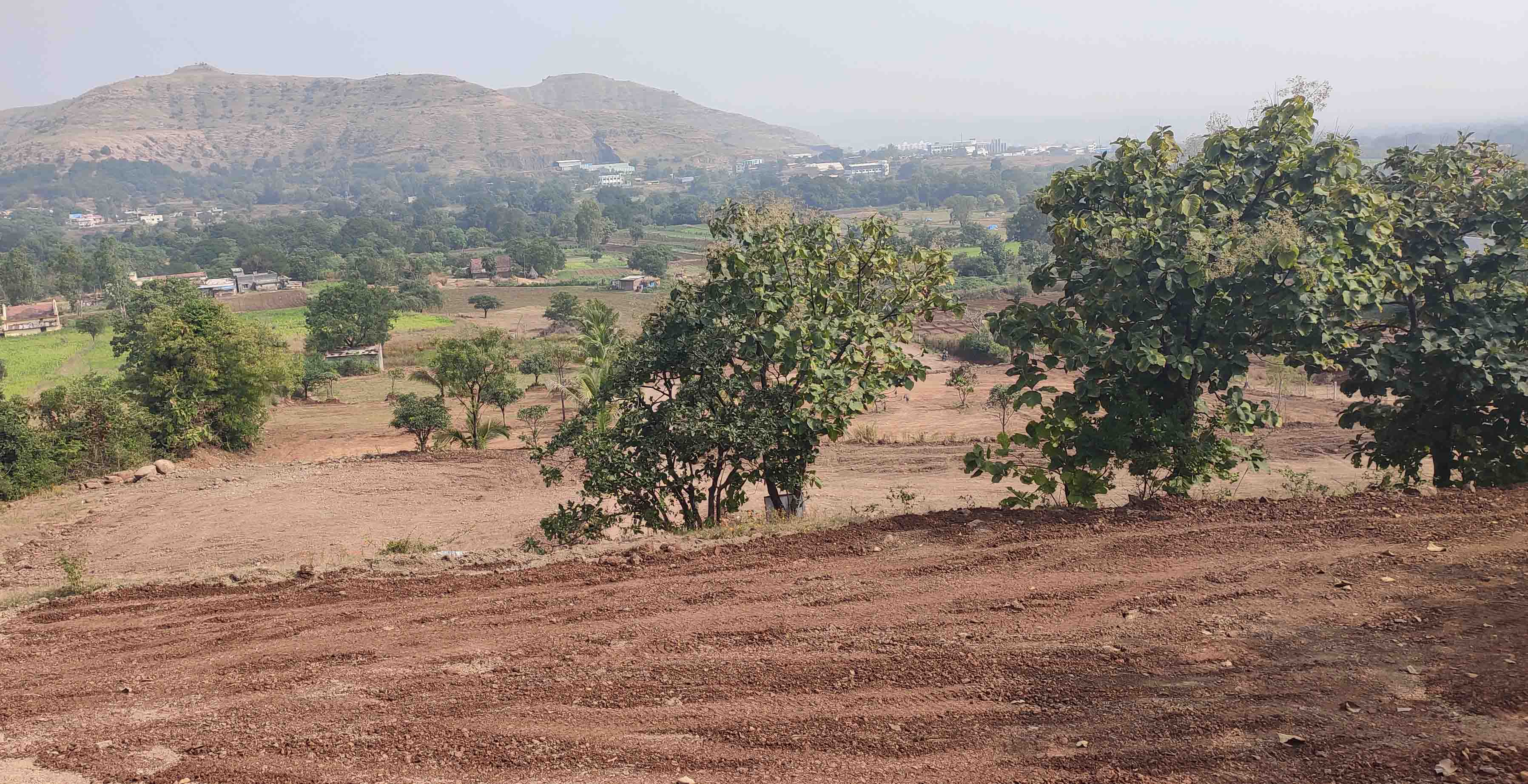Non Agricultural/Farm Land in Amrai Park at Khed Shivapur - image