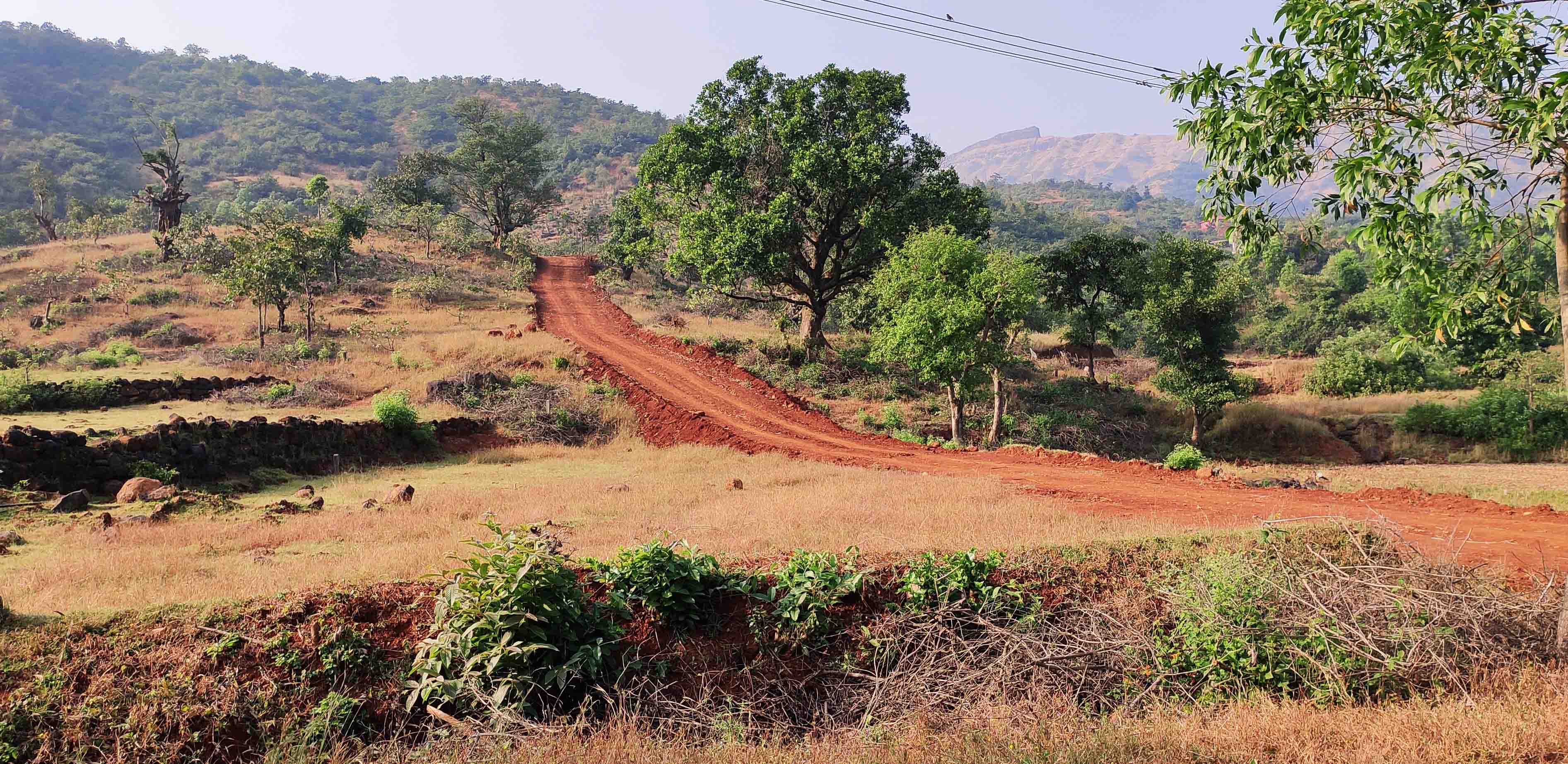 Non Agricultural/Farm Land in Jijai Park Phase 2 at Male Village - image